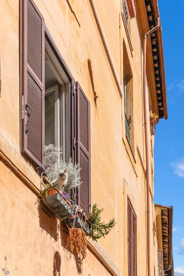 Apartament R.C. Cappellari Charming Campo De Fiori Rzym Zewnętrze zdjęcie